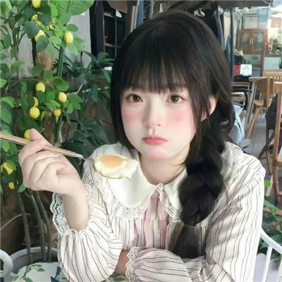 加菲猫家族